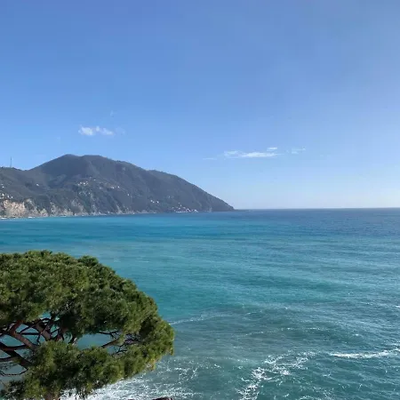 Ferienwohnung Fur 5 Personen Ca 100 M In Recco, Italienische Riviera Golfo Paradiso 아파트 렉코